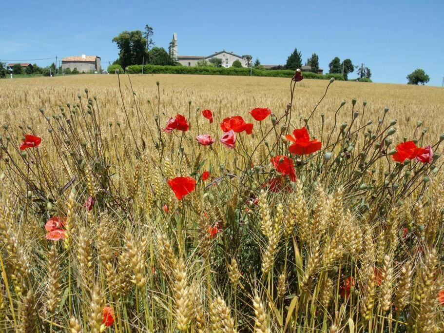 La Maison Des Coteaux Villa Ruffiac  Bagian luar foto